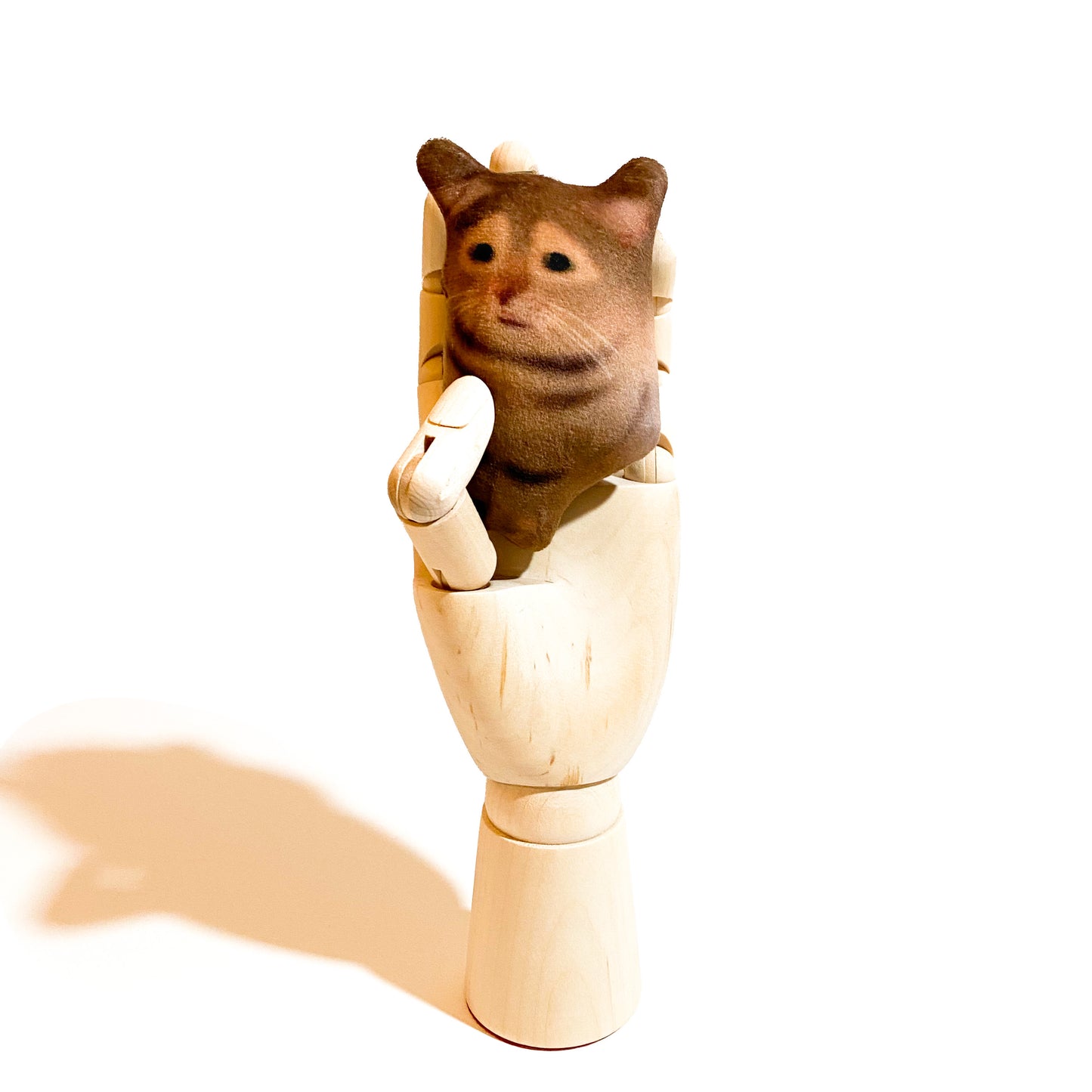 Cat - The Innocent