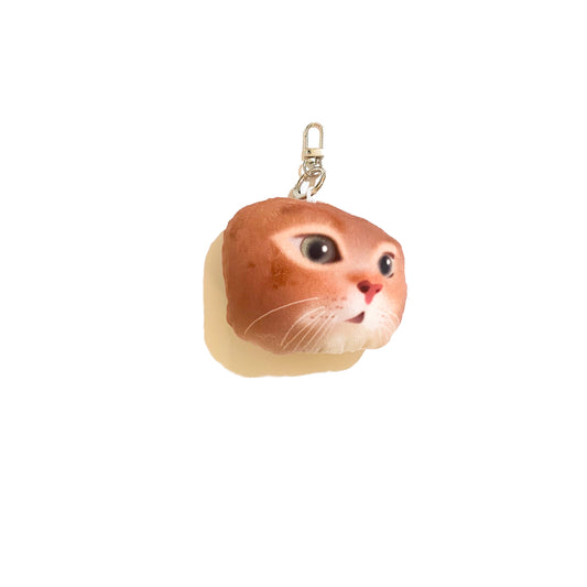 Cat - Golden British Short Hair