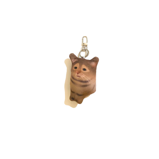 Cat - The Innocent